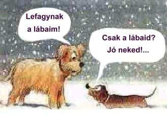 viccek41.jpg